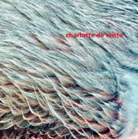 Vision (12" EP) - Charlotte De Witte