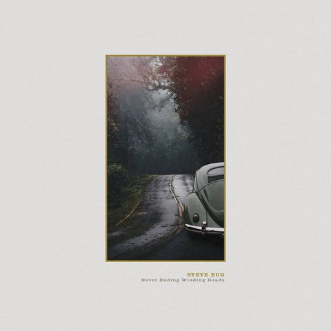 Never Ending Winding Roads (2LP) - Steve Bug