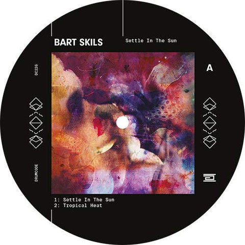 Settle In The Sun (12" Single) - Bart Skils